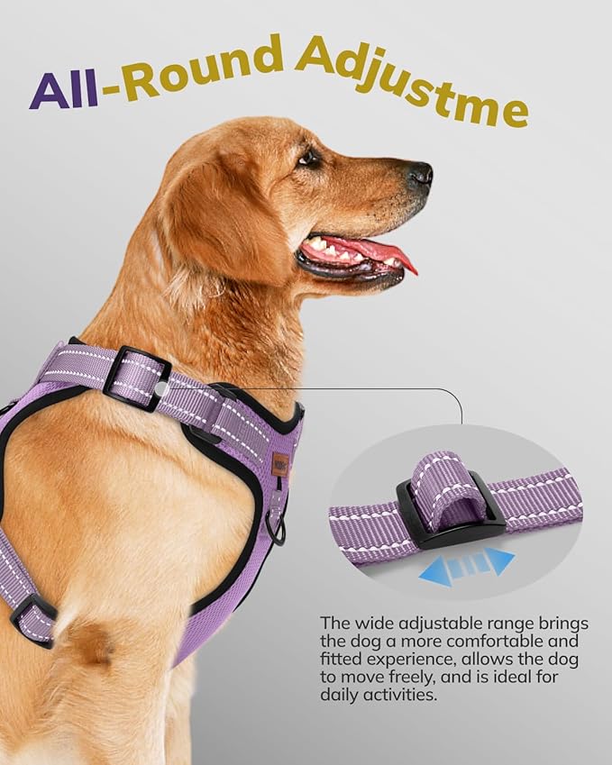 MIDOG No-Pull Dog Harness | Adjustable & Reflective Pet Harness Leash Set for Small Medium Large Dogs Walking, Training| No Choke, Front Clip, Soft Padded Vest with Easy Control Handle - Purple, XL