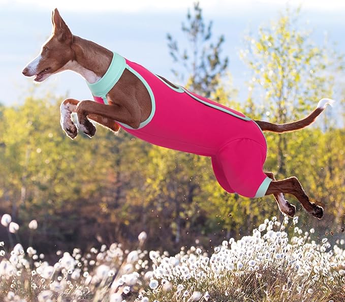 ROZKITCH Dog Surgery Leg Sleeve Rear Legs, Male Female Pet Prevent Licking Wound Elbow Knee Protector, Dog Recovery Suit Cone Collar Alternative Pants Shirt for Wound Heal Wrap Rosered L