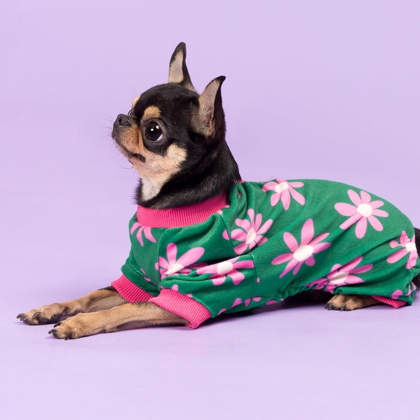 Fitwarm Flower Fleece Dog Pajamas, Warm Winter Dog Clothes for Small Dogs Girl, Cozy Pet Onesie with Feet, Dark Green, Large