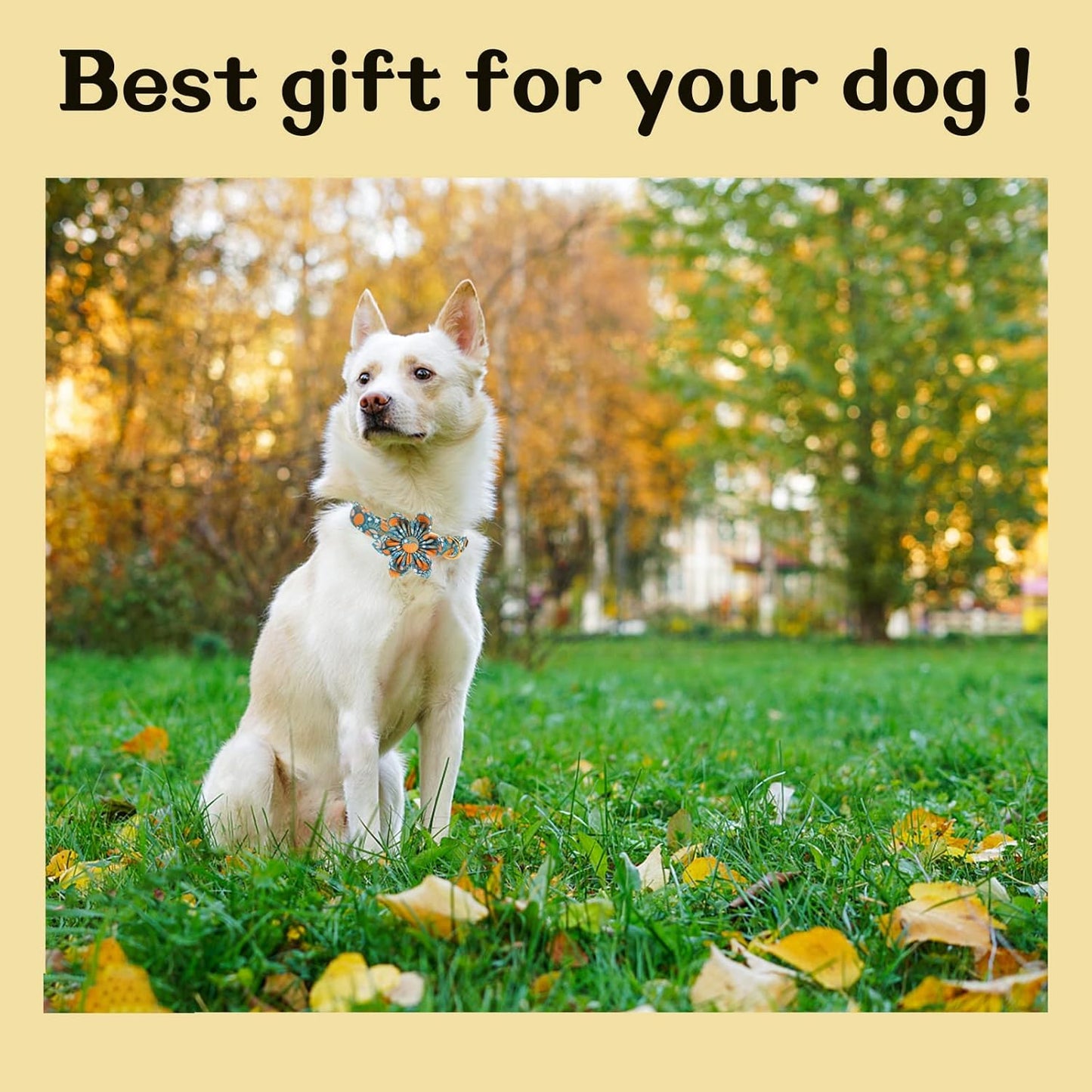 Unique style paws Halloween Dog Collar with Flower Tie Pumpkin Cotton Collar Adjustable Puppy Collar for Small Medium Large Dogs-L