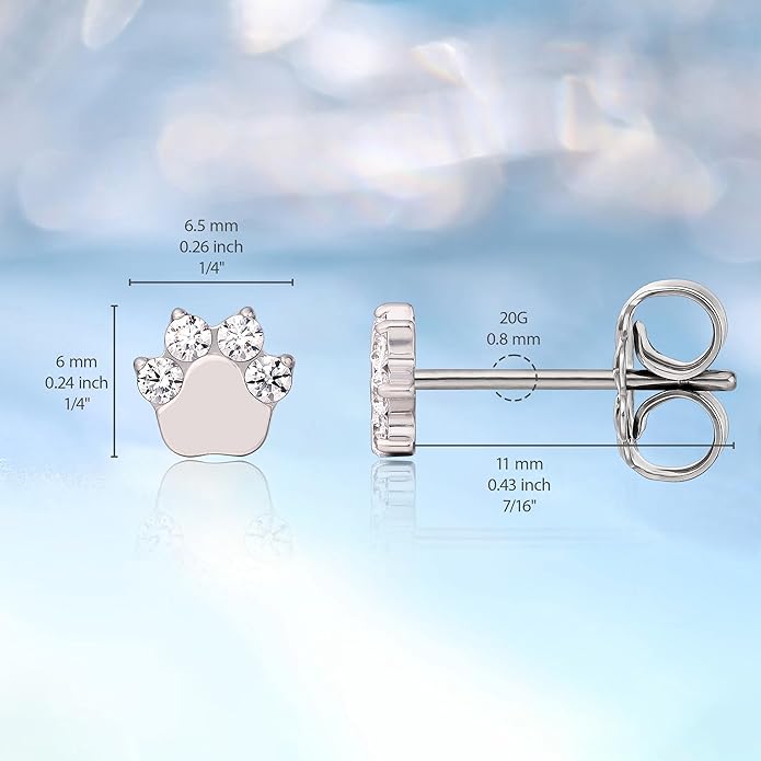 Limerencia G23 Pure Titanium Hypoallergenic Earrings | F136 Implant Grade Titanium Jewelry for Sensitive Ears