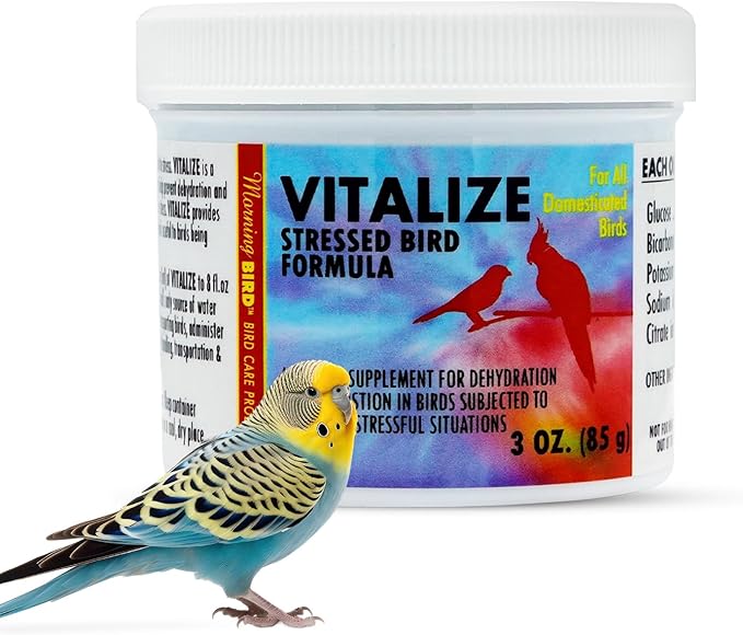Morning Bird Vitalize, Supplement for Sick, Injured, or Stressed Caged Birds; Dehydration and Exhaustion Treatment for Parakeets, Cockatiels, Budgies, Finches, Canaries, and Parrots, 3 oz