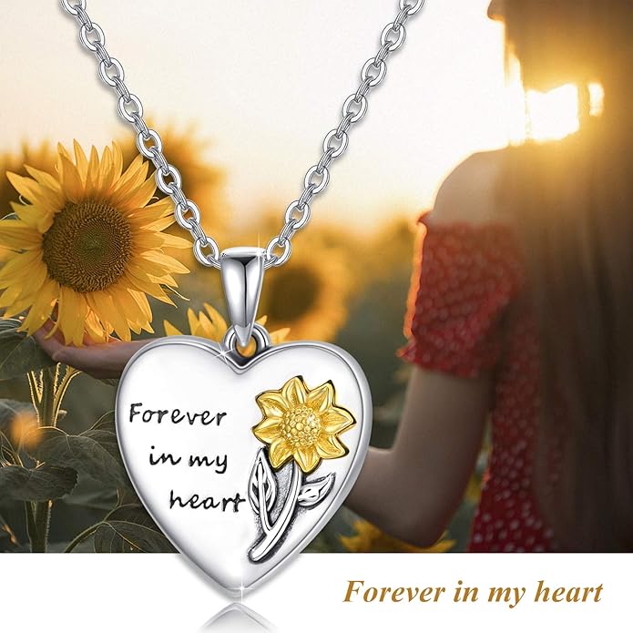 MEDWISE Wing/Wolf/Compass Urn Necklace for Ashes 925 Sterling Silver Necklace Guardian Angel Ashes Keepsake Memorial Urn Pendant Pet Cremation Jewelry for Ashes Memorial Jewelry for Dog Cat Pet Men