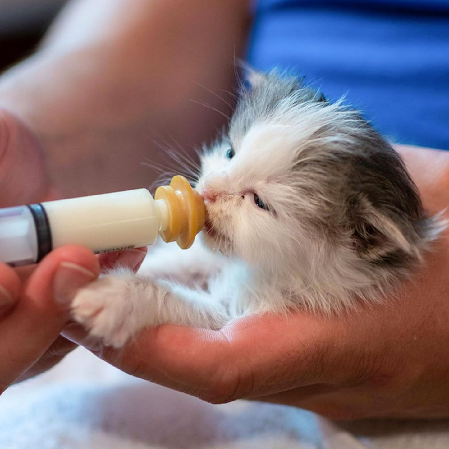 Suxgumoe Pet Feeding Bottle Set, Feeding Silicone Nipple with Bottle and Syringes, Reusable Pet Nursing Kits Feeding Tools for Rabbits, Small Animals (3 Nipples+5 Syringes + 1 Measuring Cup)