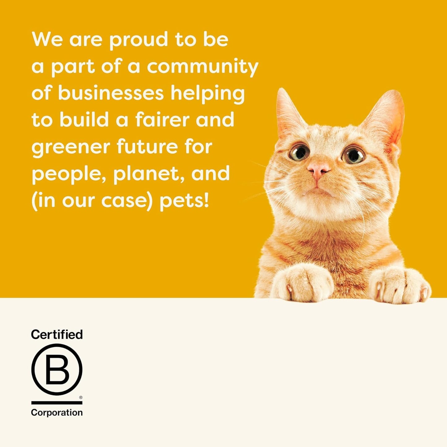 Applaws Natural Wet Cat Food in Broth, Limited Ingredient Canned Wet Cat Food, No Additives, Made with Natural Ingredients, Chicken Breast & Tuna Fillet in Broth (24 x 5.5oz Cans)