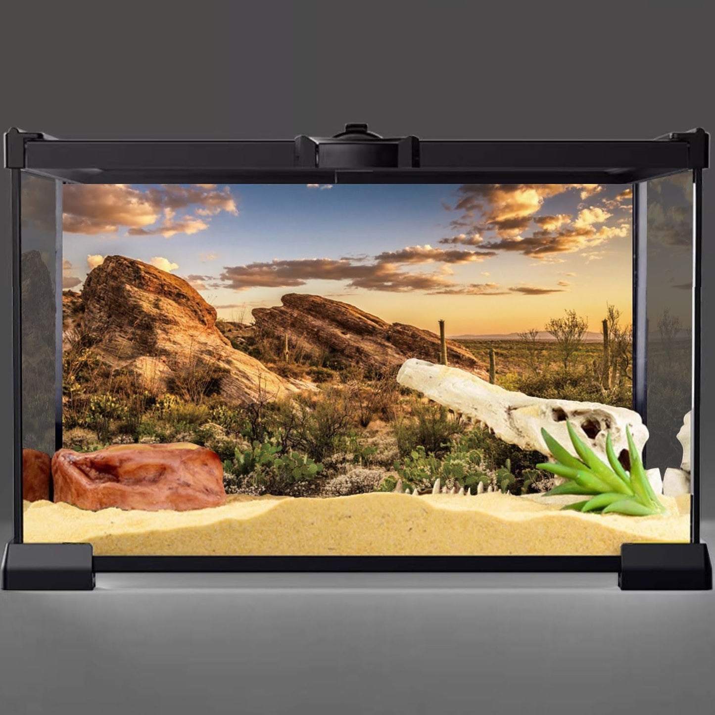 AWERT Reptile Habitat Background Blue Sky Oasis Cactus Sun and Desert Terrarium Background 36x20 inches Durable Polyester Background