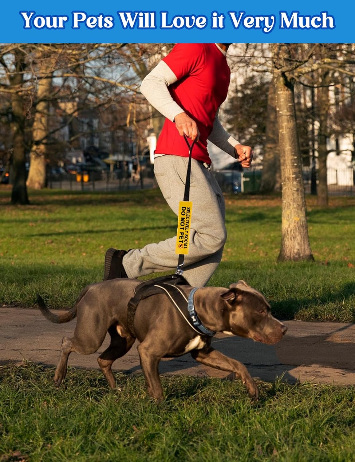 Selectively Social Do Not Pet Dog Leash Sleeve, Funny Yellow Dog Leash Wrap Alert Hanging ID Patch Tag, Do Not Pet Leash Sleeve Service Dog Leash Sleeve Pet Birthday Gifts for Dog Owners