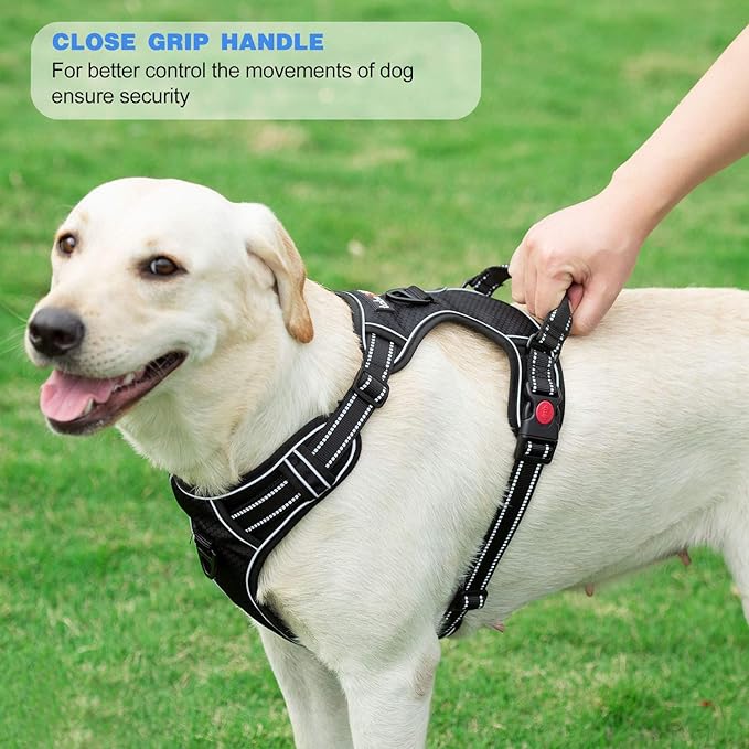 No Pull Dog Harness Adjustable Reflective Oxford Easy Control Medium Large Dog Harness with A Free Heavy Duty 5ft Dog Leash (XL (Neck: 21.5"-33", Chest: 30"-39.5"), Pink Harness+Leash)