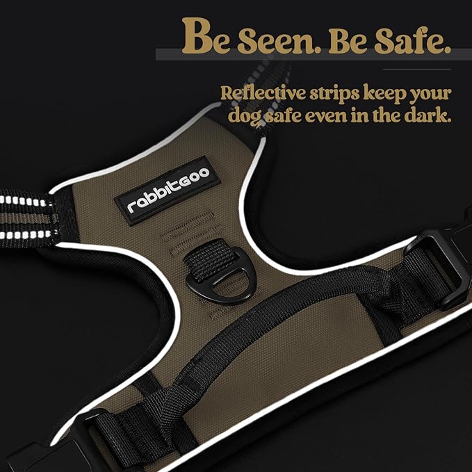 rabbitgoo Dog Harness No Pull with 2 Leash Clips, Adjustable Soft Padded, Reflective Oxford No Choke Pet Vest with Easy Control Handle for Large Dogs, Beige, L