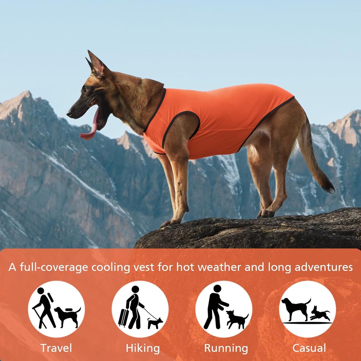 2 Pack Cooling Shirts for Dogs, Lightweight Mesh Breathable Dog Clothes for Medium Dogs Boy Girl,Sports Fan Pet T-Shirts for Dog&Cat Puppy Vest Pet Apparel - XL