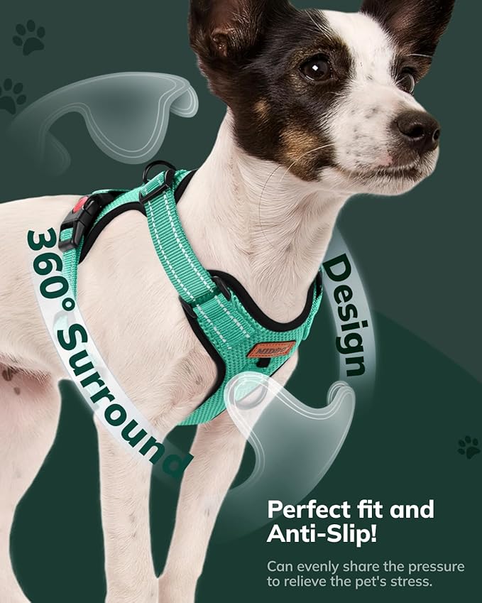 MIDOG No-Pull Dog Harness | Adjustable & Reflective Pet Harness Leash Set for Small Medium Large Dogs Walking, Training| No Choke, Front Clip, Soft Padded Vest with Easy Control Handle - Green, XL