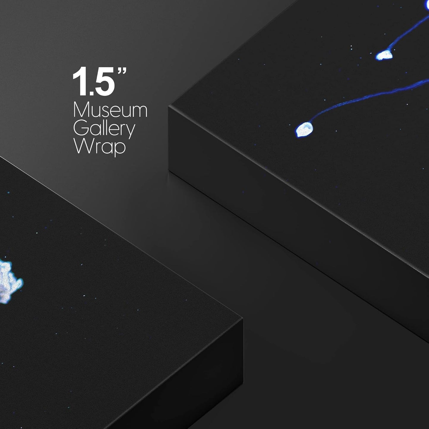 wall26 Canvas Print Wall Art Mystic Fantasy Tropical Blue X-Ray Jellyfish Nature Animals Photography Realism Rustic Scenic Landscape Wilderness Colorful for Living Room, Bedroom, Office - 24"x36"