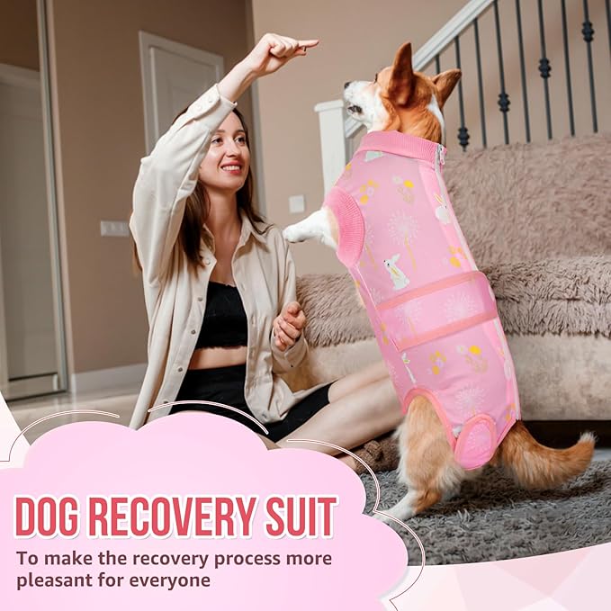 Lukovee Recovery Suit for Dogs, Zipper-On Onesie for Female Male Dog, Abdominal Wounds Cone E-Collar Alternative, Prevent Licking Spay (X-Large, A-Pink)