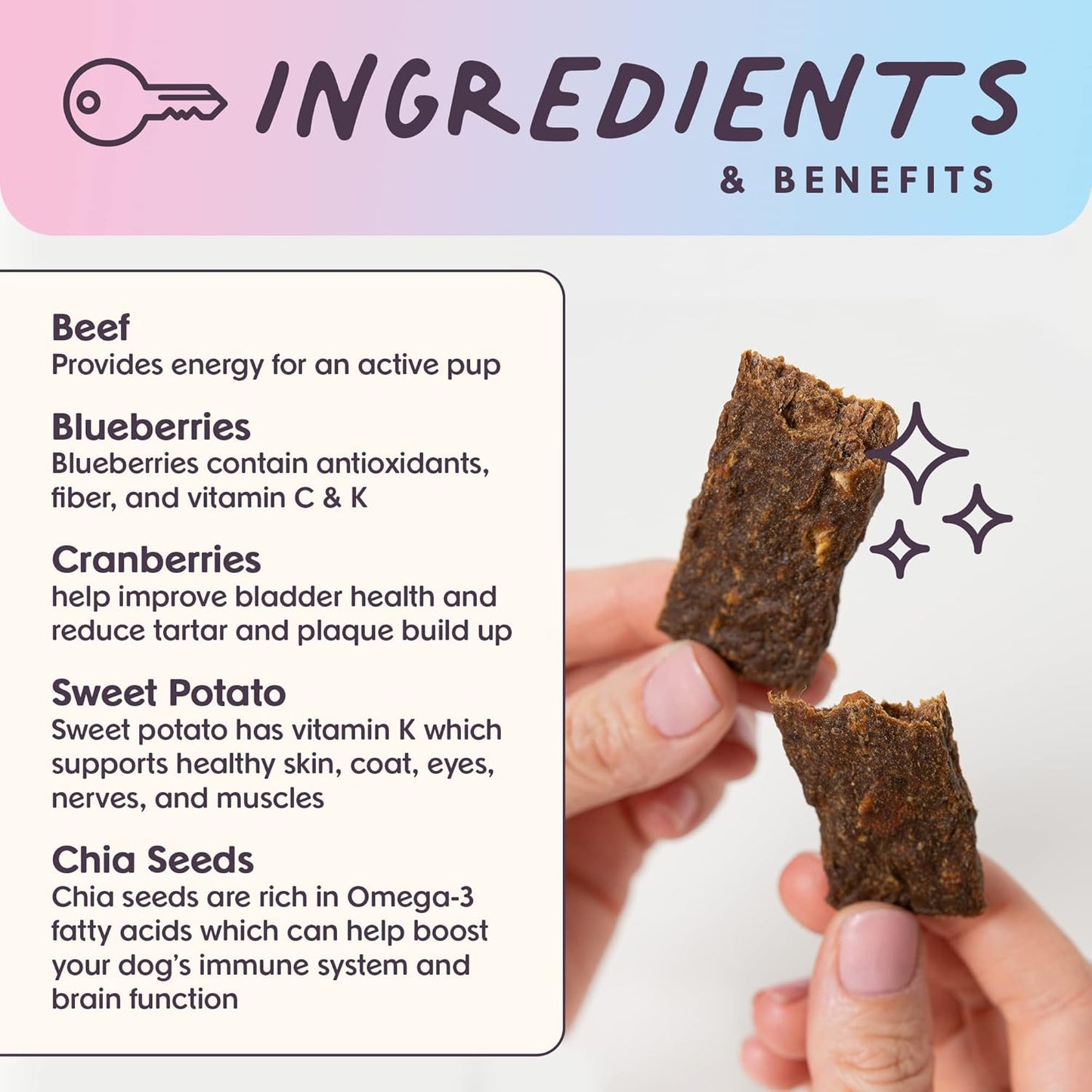 Bundle x Joy Leash & Load Dog Treats Beef Jerky Snack Bars, 5 oz Bag, Puppy and Training Treats, Natural Superfood Grain Free Made with Real Beef, Superfoods, Corn, Poultry & Soy Free