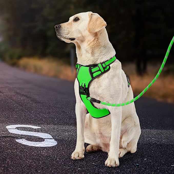 IVY&LANE No Pull Dog Harness for Large Dogs, Dog Vest Harness with Leash, Safety Belt and Storage Strap, Fully Adjustable Harness, 360° Reflective Strip, Soft Handle (Green, XL)