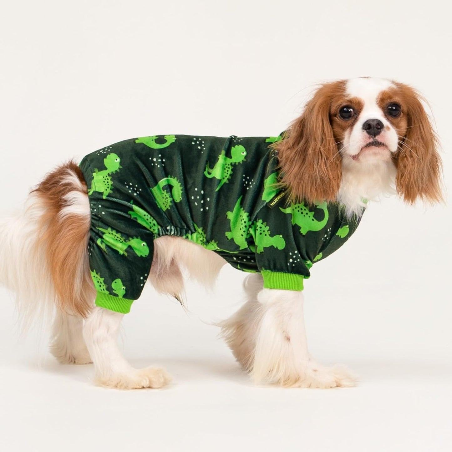 Fitwarm Dinosaur Dog Fleece Pajamas, Warm Clothes for Small Dogs Boy, Cozy Pet Onesie with Feet, Dark Green, Bright Green, Small