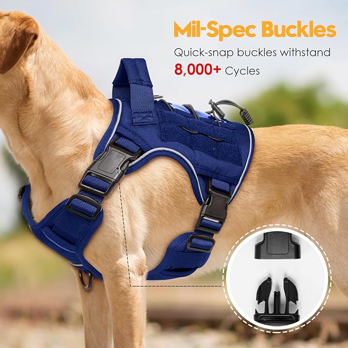 Heavy-Duty Tactical Dog Harness for Large Dogs, No Pull Adjustable Reflective Pet Vest with Molle System, K9 Military-Grade Control for Service Training, Outdoor & 10+ Breeds, Dazzling Blue, Medium
