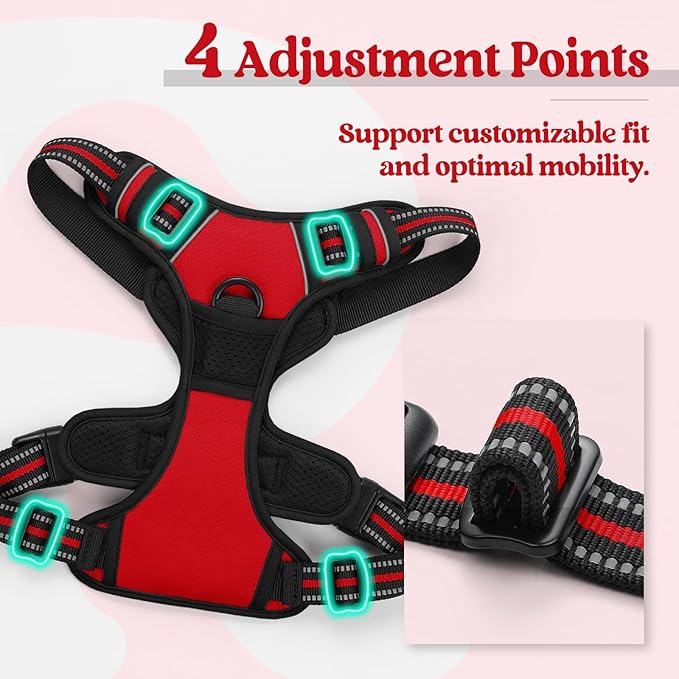 rabbitgoo Dog Harness, No-Pull Pet Harness with 2 Leash Clips, Adjustable Soft Padded Dog Vest, Reflective No-Choke Pet Oxford Vest with Easy Control Handle for Large Dogs, Red, L