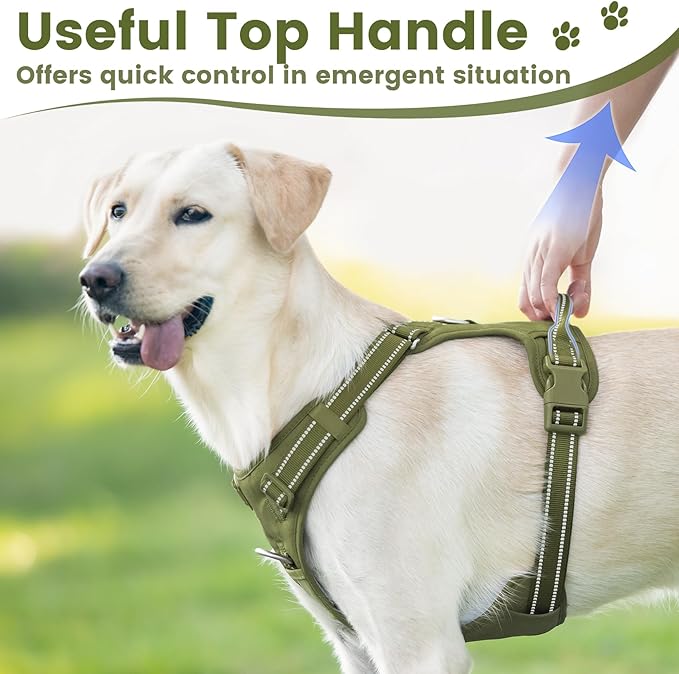 No Pull Dog Harness, Reflective Puppy Vest for Small Medium Large Sized Dog (Misty Green,M)