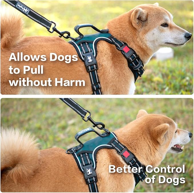 PoyPet No Pull Dog Harness, No Choke Front Clip Reflective Dog Vest with Soft Padded Vertical Handle, 3 Leash Attachments for Small Medium Large Dogs (Tumalo Teal,S)