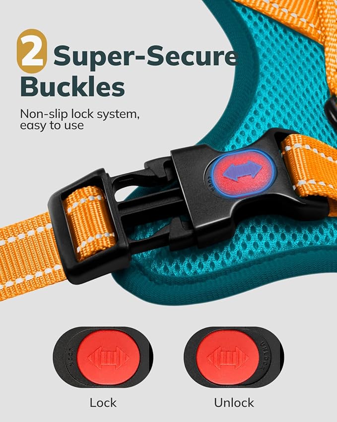 MIDOG No-Pull Dog Harness | Adjustable & Reflective Pet Harness Leash Set for Small Medium Large Dogs Walking, Training| No Choke, Front Clip, Soft Padded Vest with Easy Control Handle - Blue, XS