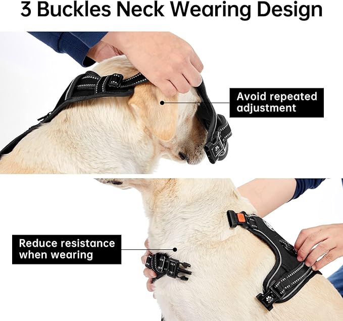 IVY&LANE No Pull Dog Harness for Large Dogs, Dog Vest Harness with Leash, Safety Belt and Storage Strap, Fully Adjustable Harness, 360° Reflective Strip, Soft Handle (Black, XL)