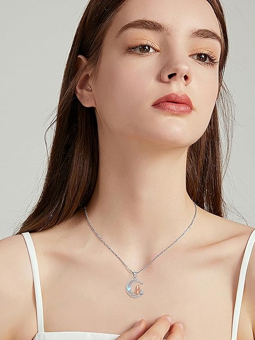 Dorunmo Animal Necklace 925 Sterling Silver Owl/Sloth/Axolotl/Dolphin Necklace Celtic Knot Pendant Birthday Anniversary Animal Jewelry for Women Friends Animals Lover