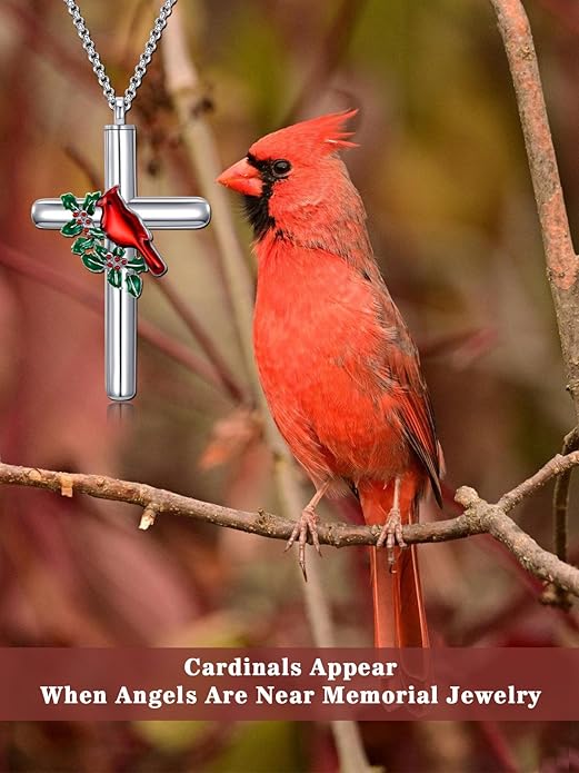 Cross Urn Necklace for Ashes 925 Sterling Silver Cremation Jewelry with Funnel Filler Kit Ashes Necklace for Human Women Girl Pets