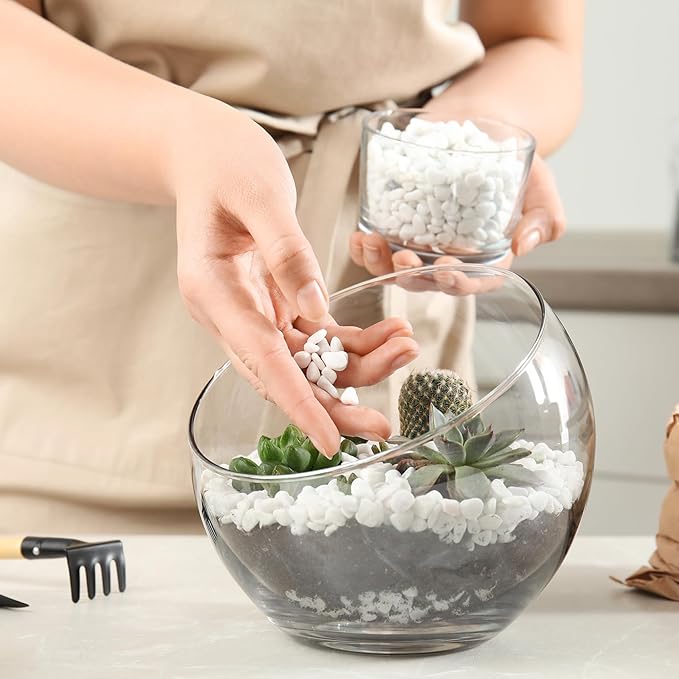 Mr. Fireglass 10 lbs White Pebbles,1/5" Natural Decorative River Rocks Aquarium Gravel for Indoor Plants, Vases, Succulents and Outdoor Garden Landscaping