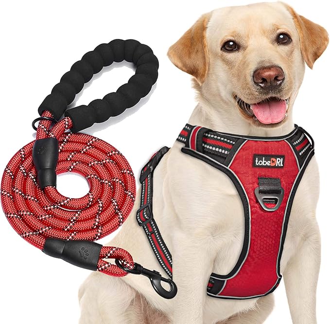 No Pull Dog Harness Adjustable Reflective Oxford Easy Control Medium Large Dog Harness with A Free Heavy Duty 5ft Dog Leash (S (Chest: 17.5"-21"), Red Harness+Leash)