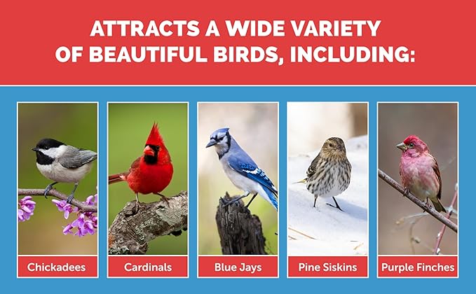 Pennington Select Birder's Blend 15 lbs.