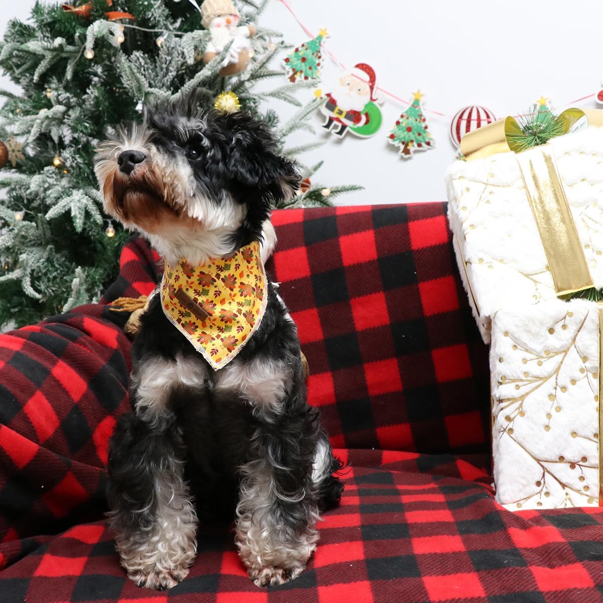 Lionet Paws Thanksgiving Dog Bandana Washable Cotton Handkerchief Scarf Triangle Turkey Bandana for Small Medium Large Dogs Girl Boy Gift