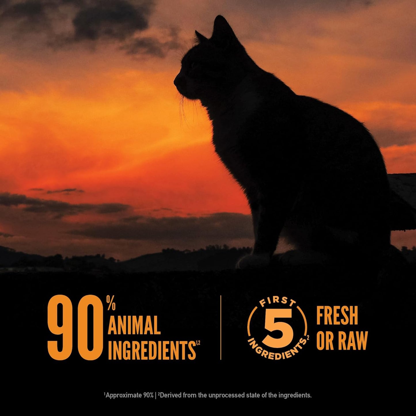 ORIJEN Wild Reserve Dry Cat Food Free-Run Chicken & Wild-Caught Fish Recipe 6.5lb Bag