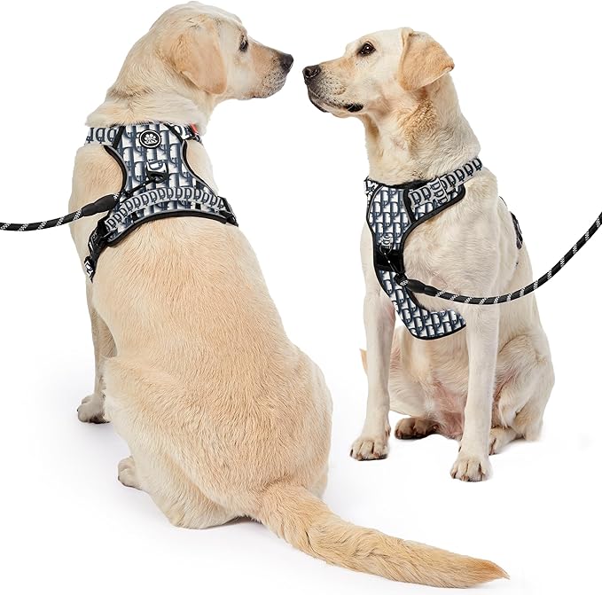 NESTROAD No Pull Dog Harness,Adjustable Oxford Dog Vest Harness with Leash,Reflective No-Choke Pet Harness with Easy Control Soft Handle for Large Dogs(Large,Vintage Blue)