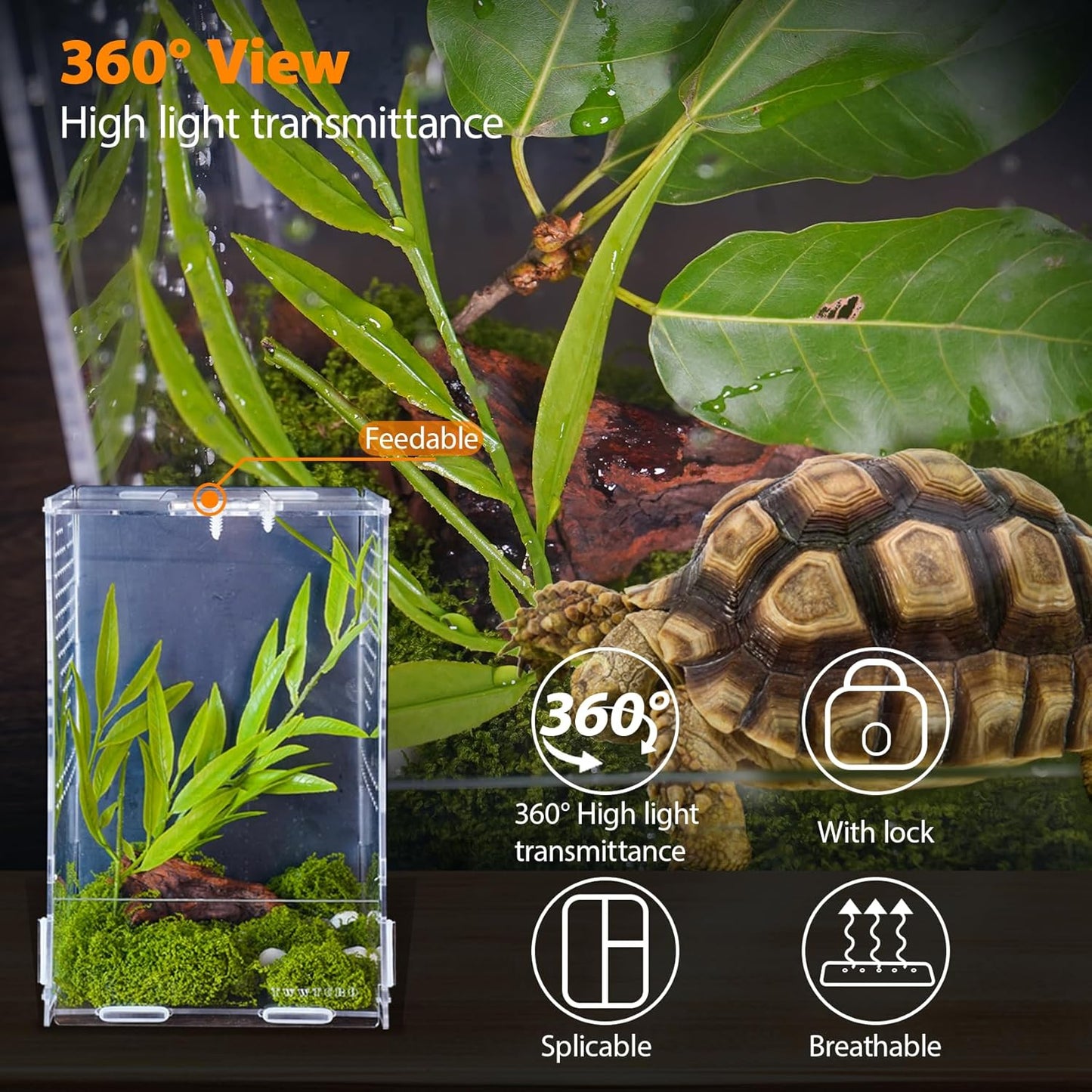 Jumping Spider Enclosure, Acrylic Insect Terrarium, Bug Enclosure, Reptile Cage, Mantis Habitat, Arboreal Tarantula Enclosure, Snake Terrarium Kit, Scorpion Lizard Tank