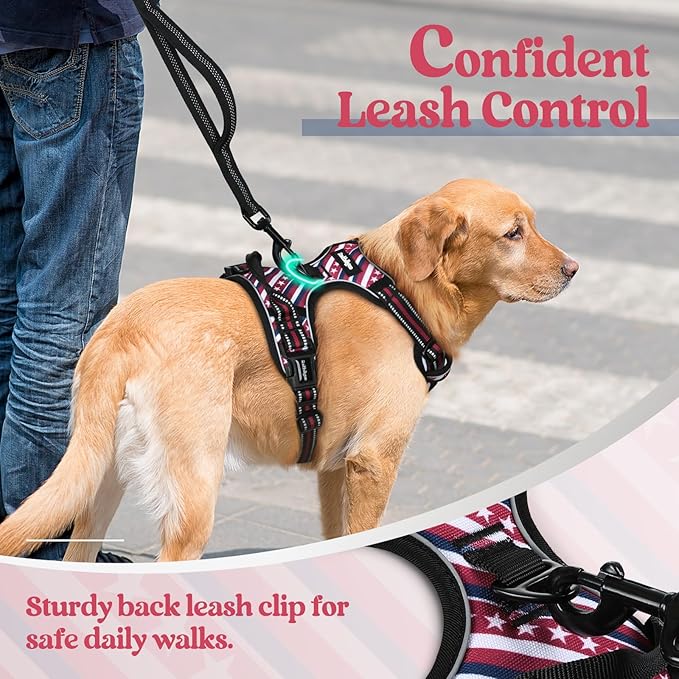 rabbitgoo Dog Harness No Pull with 2 Leash Clips, Adjustable Soft Padded, Reflective Oxford No Choke Pet Vest with Easy Control Handle for Large Dogs, Red Stripe, S