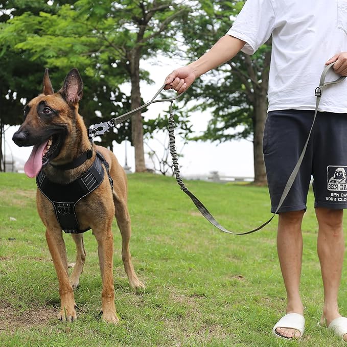 ICEFANG Tactical Dog Leash,K9 Training Walking Bungee Lead with 2 Control Handle,Heavy Duty Quick Release Metal Clasp,for Medium Large Breed (Reflective Green, 6 FT)