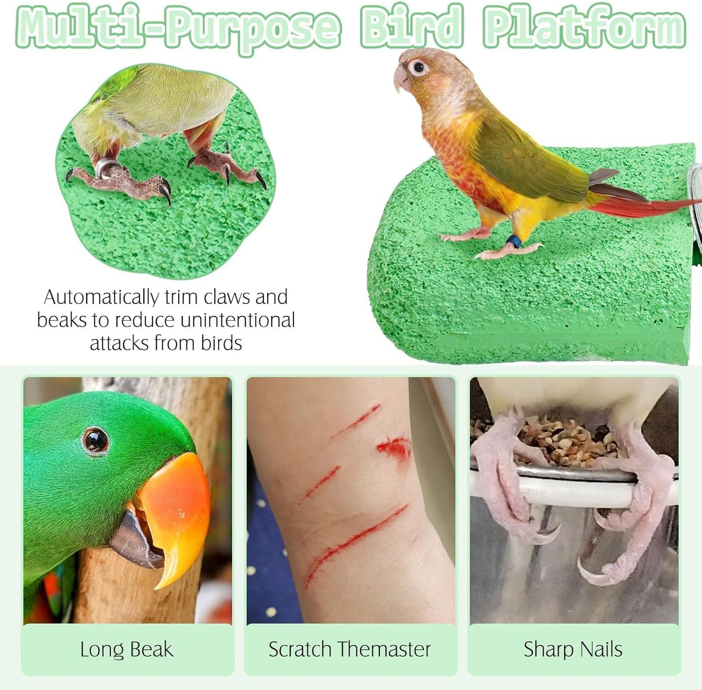 PINVNBY 5 Pack Bird Perch Resin Bird Beak Grinding Stone Parrot Cage Perch Stand Platform Foot Claws Trimmer Chew Toy Bird Cage Accessories for Budgie Cockatiel Conure Lovebird Finch (Green)