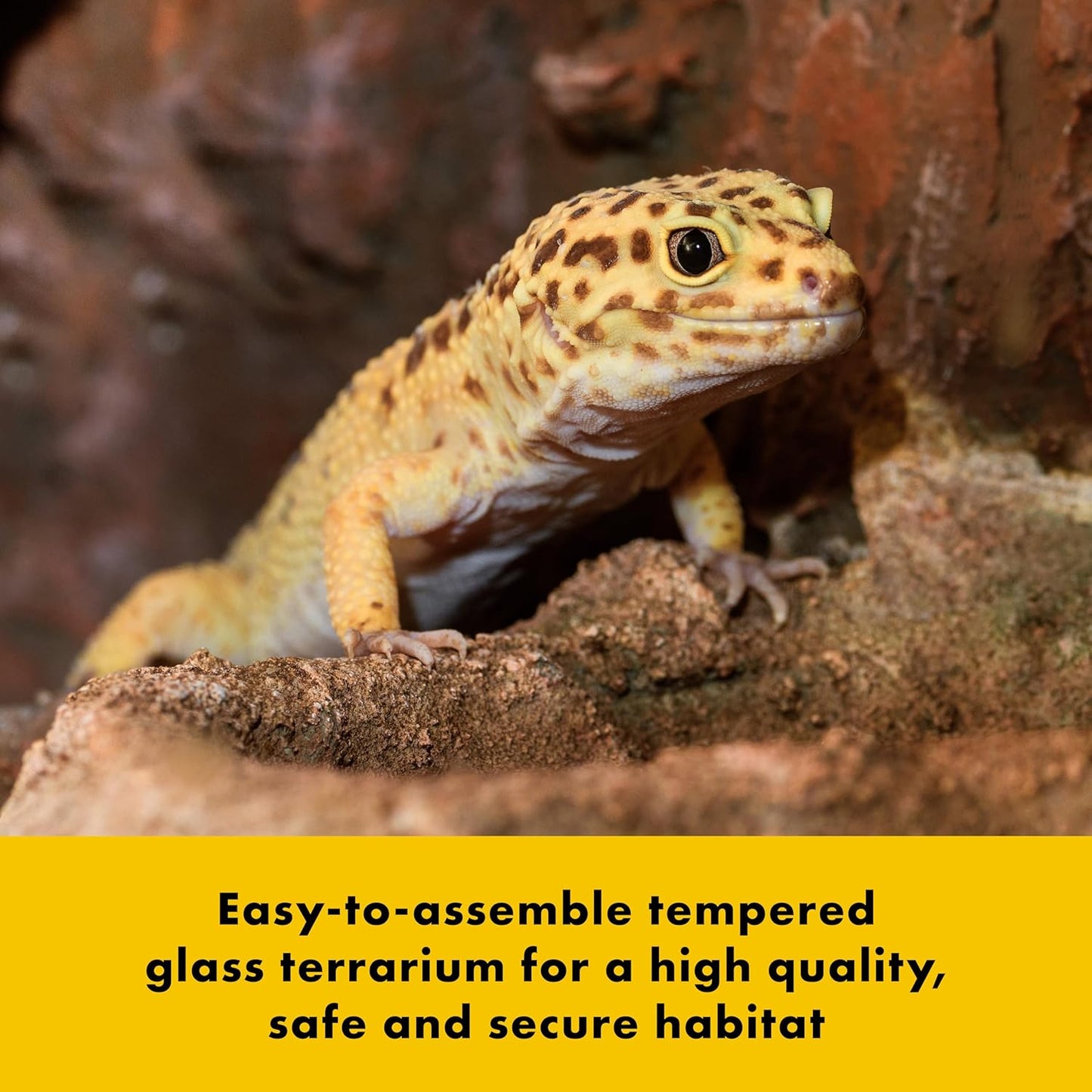 Zilla QuickBuild Reptile 10 Gallon Glass Terrarium Habitat with Bedding Tray For Geckos, Snakes, Lizards, Frogs, Turtles, and Tortoises, 20" x 12" x 10"