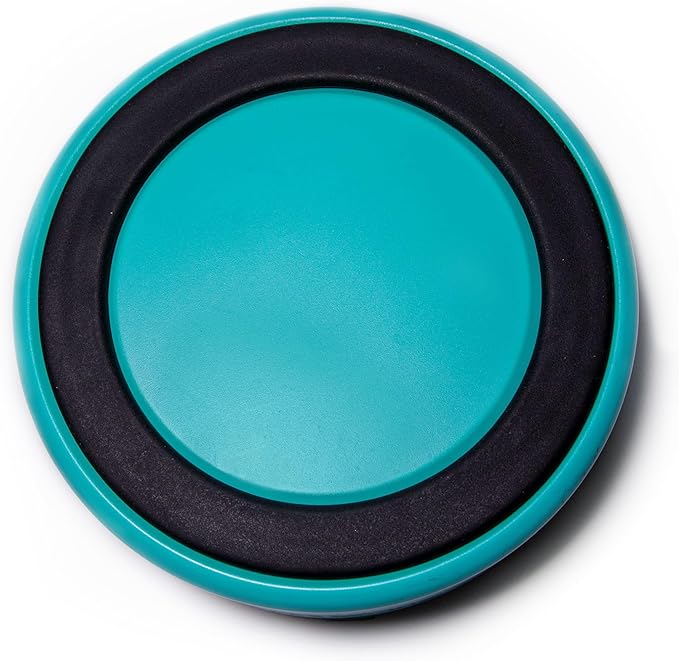 Dog Bowl - Vacuum Insulated Keeps Water Cool, Non-Slip Base, Easy Clean Interior, Durable Stainless Steel, Multiple Colors, Ideal for Travel, 32 Oz - Pet Bowl (Light Blue)