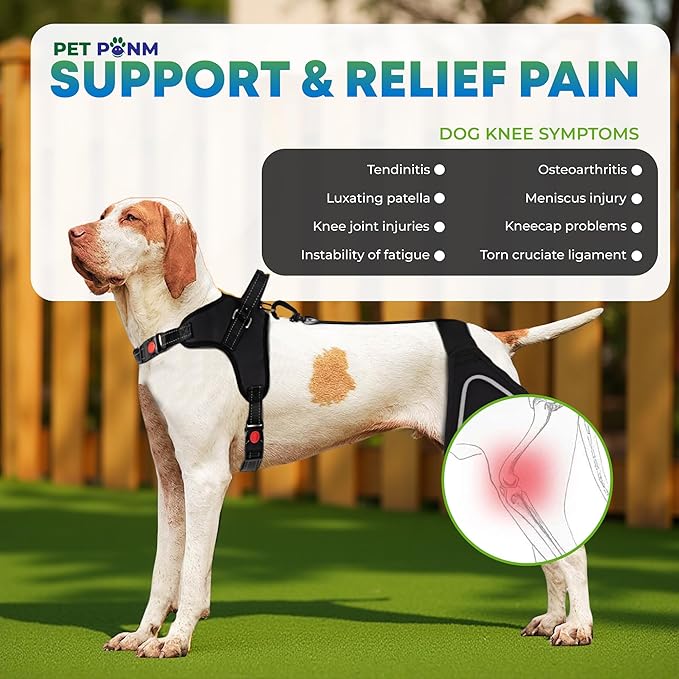 Petpanm- Adjustable Dog Knee Brace- Right Hind Leg with Integreted Harness- Premium Support for Torn ACL, Sprains & Strains Recovery, Enhances Mobility, Comfortable Neoprene- (Small)