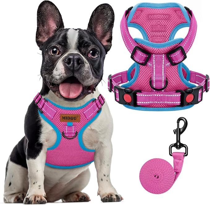 MIDOG No-Pull Dog Harness | Adjustable & Reflective Pet Harness Leash Set for Small Medium Large Dogs Walking, Training| No Choke, Front Clip, Soft Padded Vest with Easy Control Handle - Pink, M