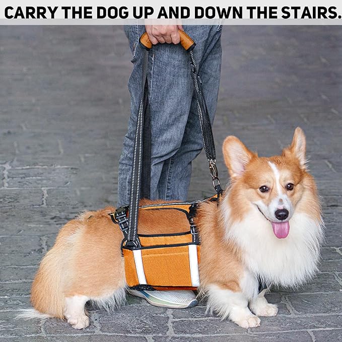 COODEO Mobility Dog Lift Harness, Emergency Carry Sling, Pet Rear Leg Support Rehabilitation Lifts Vest, Dog Carrier for Senior Dogs Joint Injuries, Arthritis (Orange, L)
