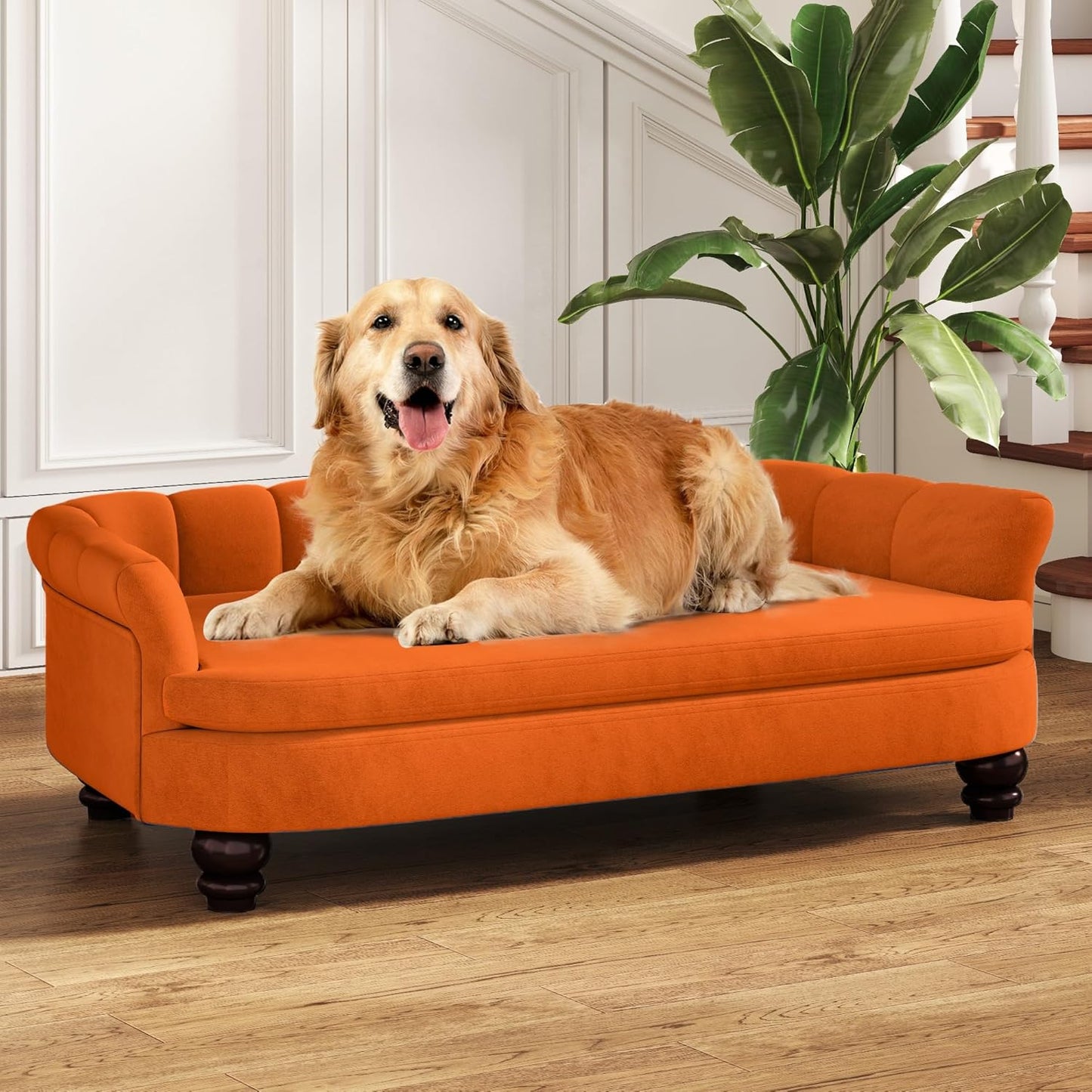 Dog Couch Sofa Bed, Comfortable Pet Sofa for Large and Medium Dogs, Soft Velvet Cushion, Durable Dog Furniture for Living Room
