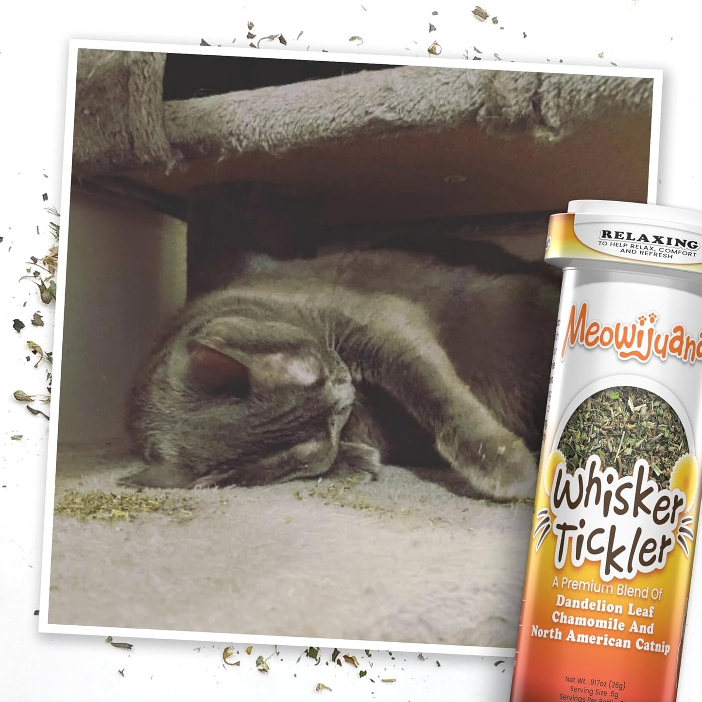 Meowijuana Purrple Passion Cat Nip - Premium Organic Blend of Catnip for Cats & Silvervine, Stimulates Playful Behavior, 26g, Natural Wellness Gift for Cat Lovers