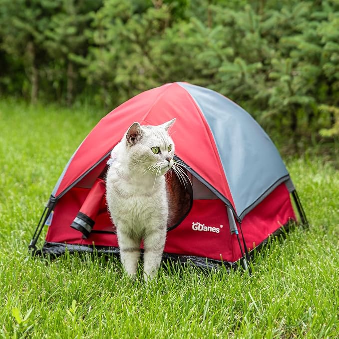 GDanes Cat House Portable Indoor/Outdoor Red Cat Tent for Cats and Small Dogs with Soft Pad