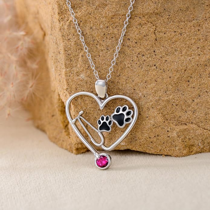 Birthstone Veterinary Stethoscope Necklace 925 Sterling Silver Nurse Vet Pendant with Dog Paw Nurse Jewelry Gifts for Veterinarian Nurse Women Veterinarian Gifts