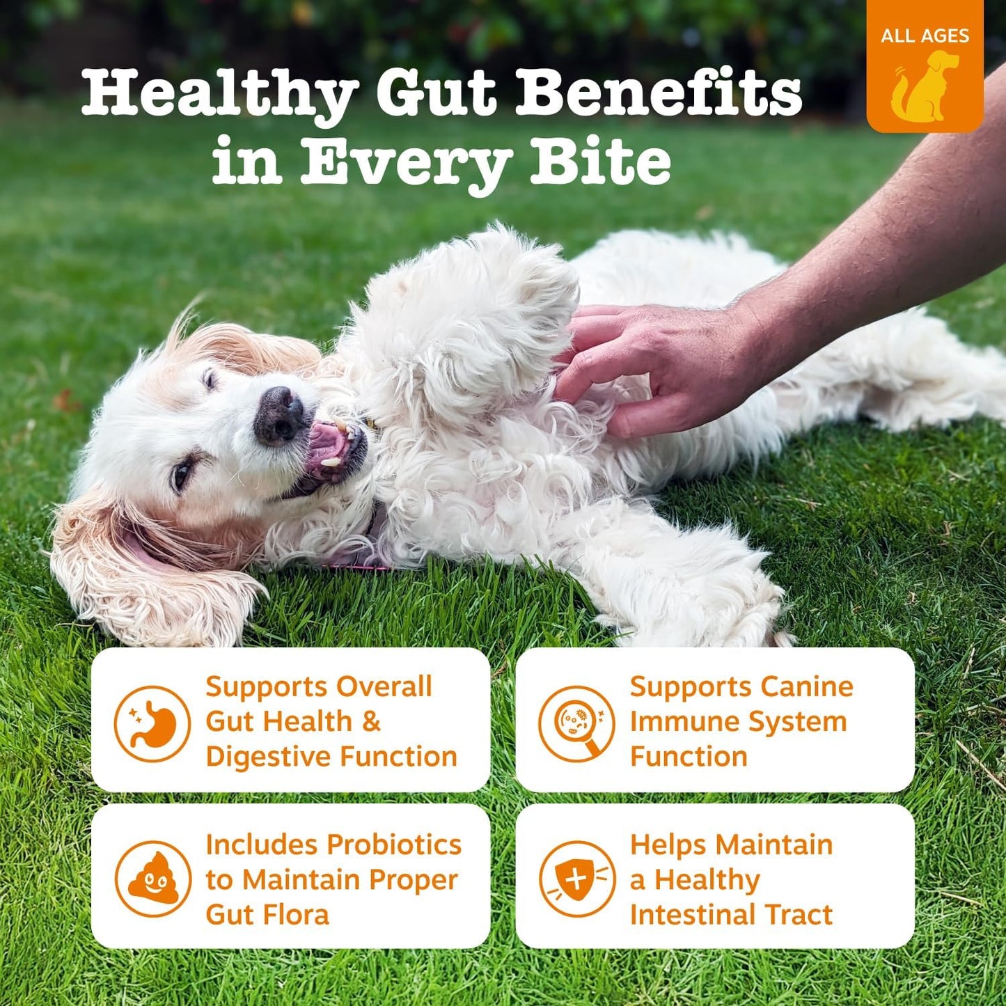 Zesty Paws Probiotics for Dogs - Digestive Enzymes for Gut Flora, Digestive Health, Diarrhea & Bowel Support - Clinically Studied DE111 - Dog Supplement Soft Chew for Pet Immune System - Adv, 90ct