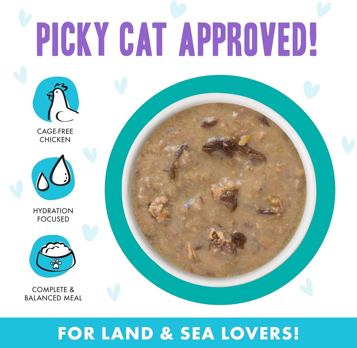 Weruva B.F.F. OMG - Best Feline Friend Oh My Gravy! Grain-Free Wet Cat Food Cans, QT Patootie! Chicken & Turkey, 2.8 oz Can (Pack of 12)