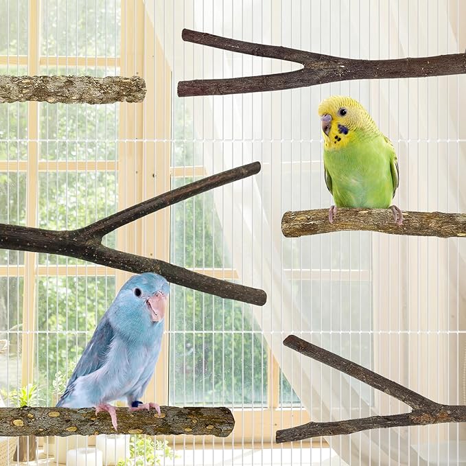 kathson 8 PCS Natural Bird Wood Perch Parakeet Standing Toy Sticks Parrot Paw Grinding Branches Cockatiels Cage Chewable Accessories for Conures Macaws Finches